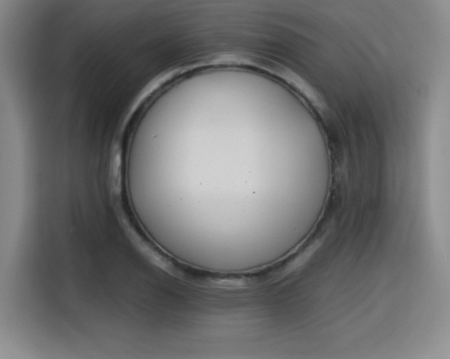 X0000115821126200911201439