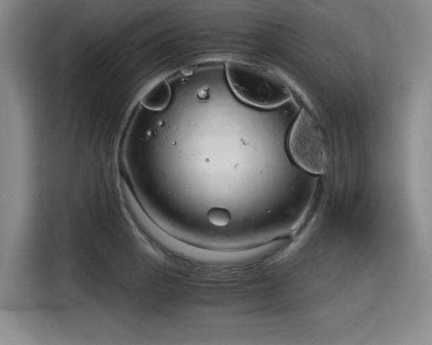 X0000115821129200911201440