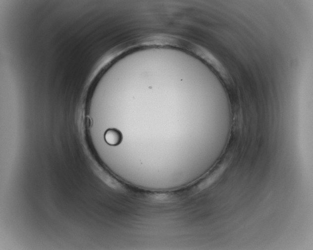 X0000115821130200911201440