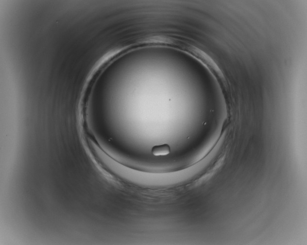 X0000115821133200911201440