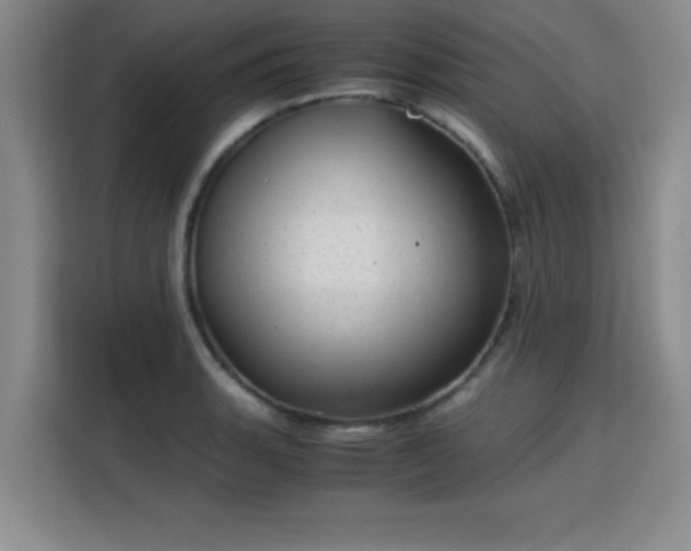 X0000115821135200911201440