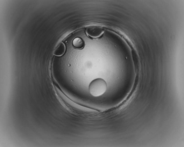 X0000115821137200911201440