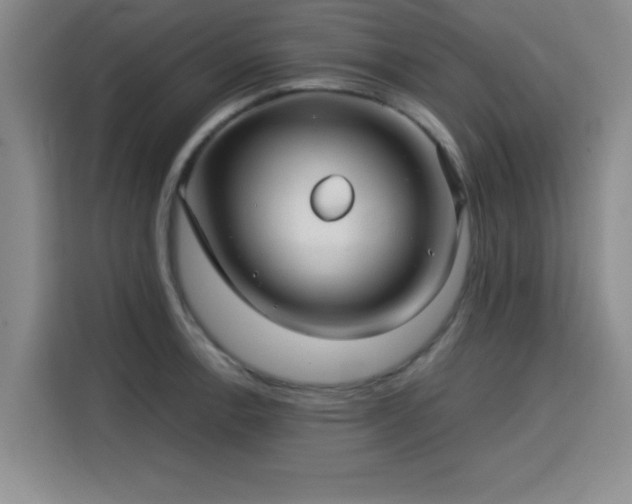 X0000115821138200911201440