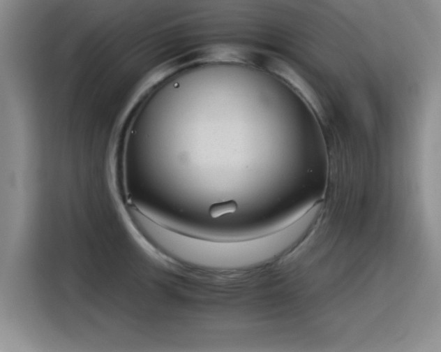 X0000115821139200911201440