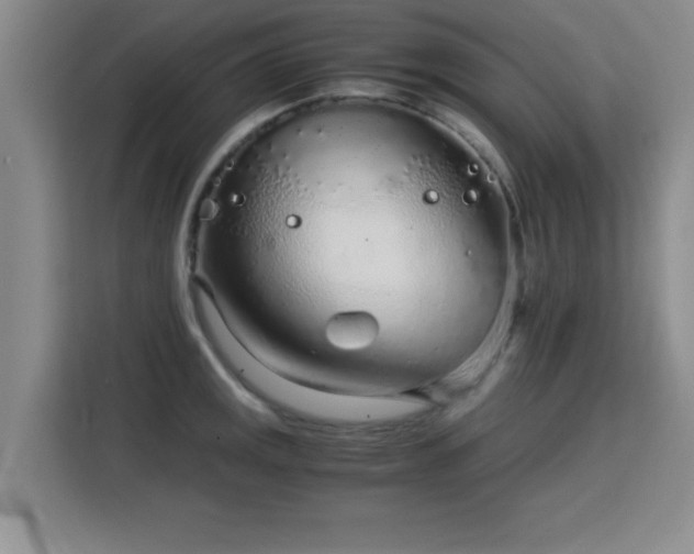 X0000115821141200911201440