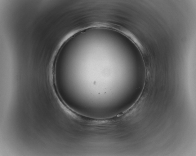 X0000115821143200911201440