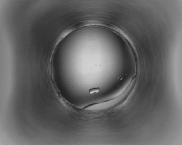 X0000115821145200911201440