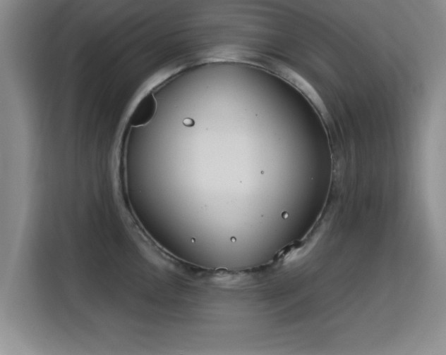 X0000115821146200911201440