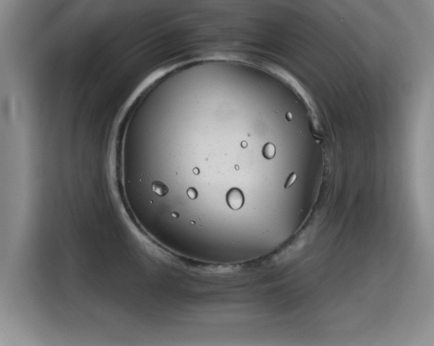 X0000115821147200911201440