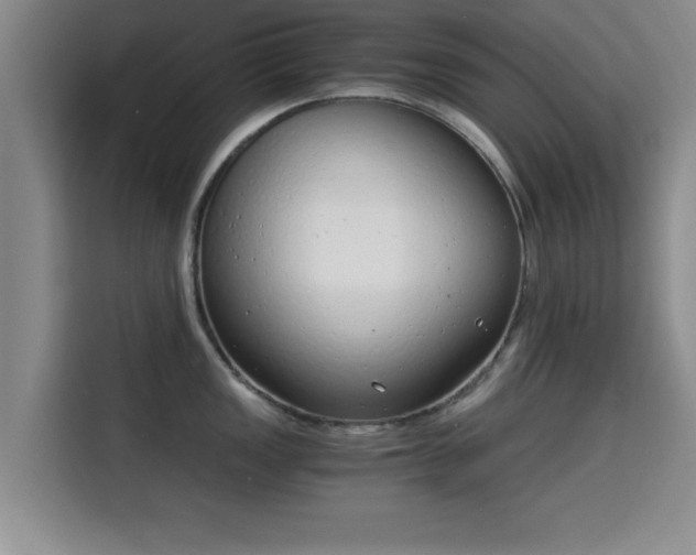 X0000115821149200911201440