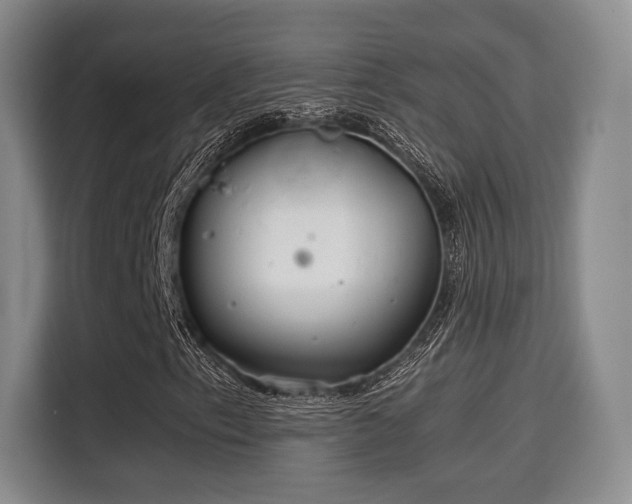 X0000115821153200911201439