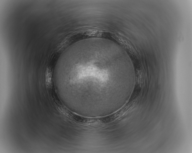 X0000115821154200911201439