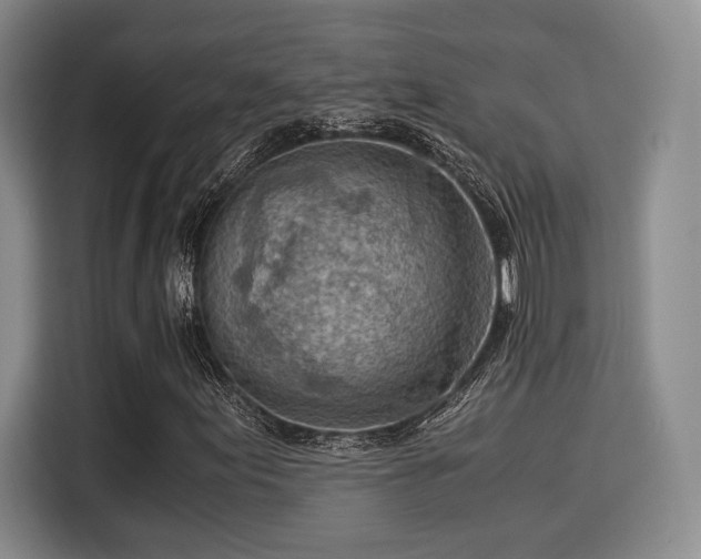 X0000115821155200911201439