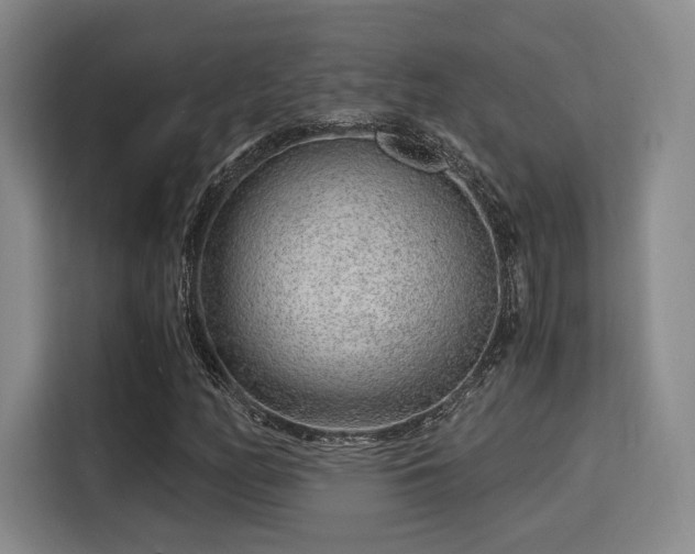 X0000115821158200911201439