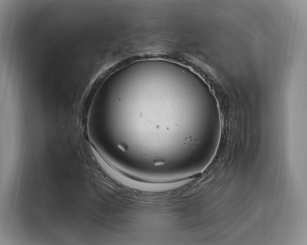 X0000115821160200911201439