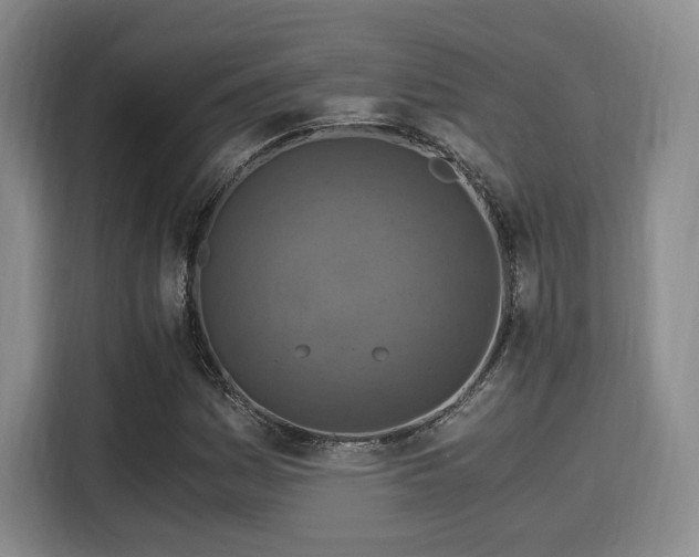 X0000115821161200911201439