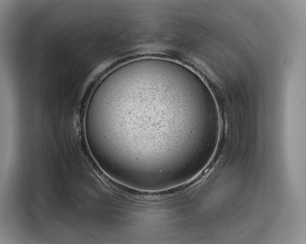 X0000115821164200911201439