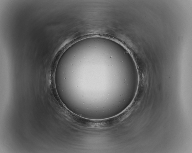 X0000115821165200911201439