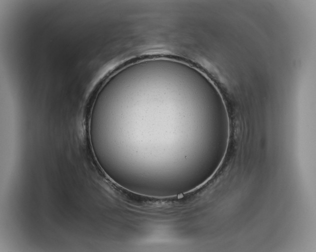 X0000115821167200911201439