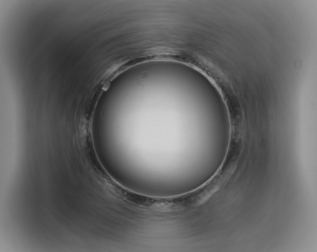 X0000115821169200911201439