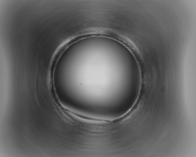 X0000115821172200911201439