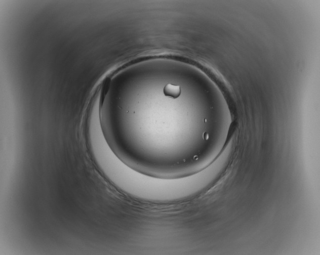 X0000115821173200911201439