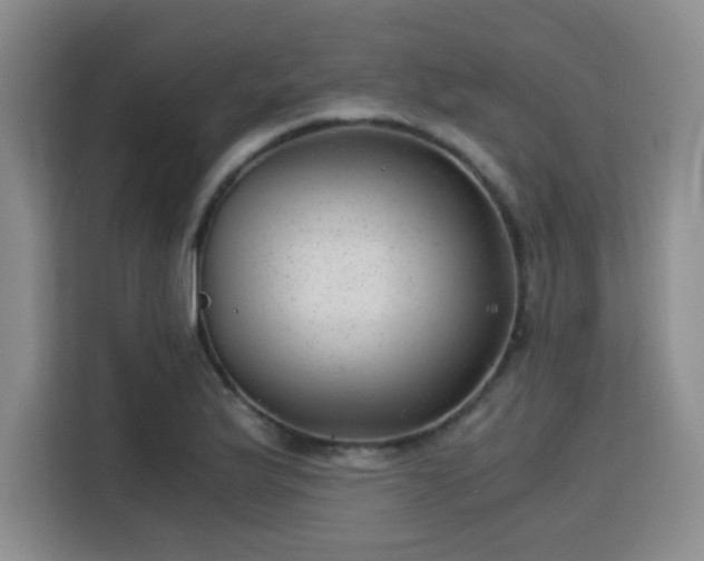 X0000115821175200911201439