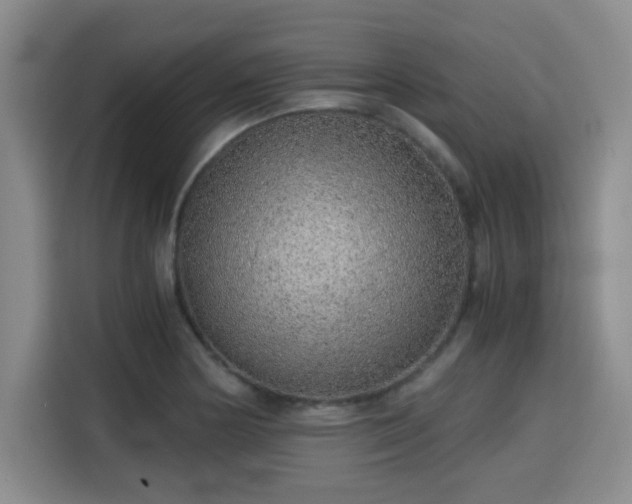 X0000115821178200911201439