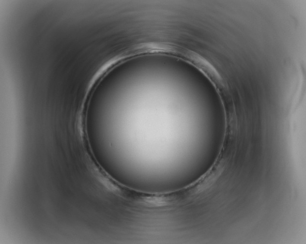 X0000115821182200911201439