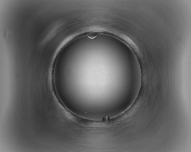 X0000115821183200911201439