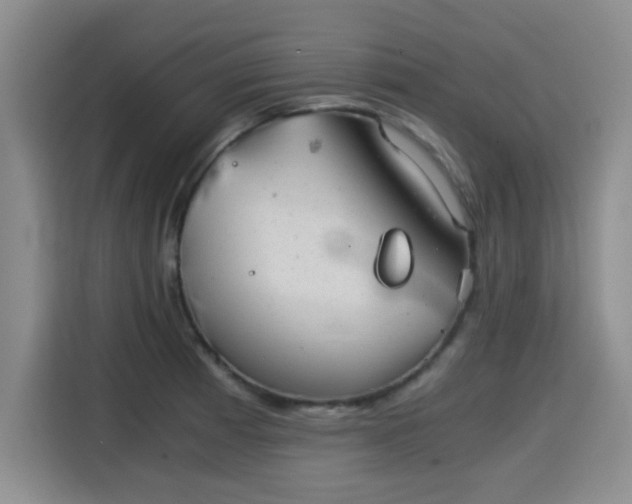 X0000115821185200911201439