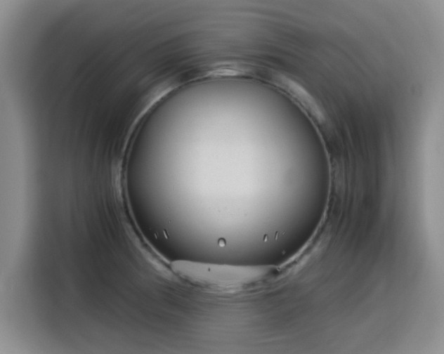 X0000115821186200911201439