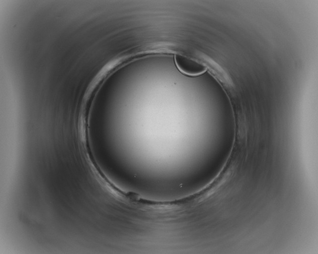 X0000115821188200911201439