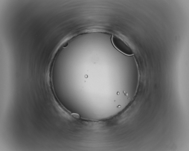 X0000115821189200911201439