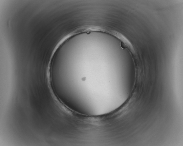 X0000115821190200911201439