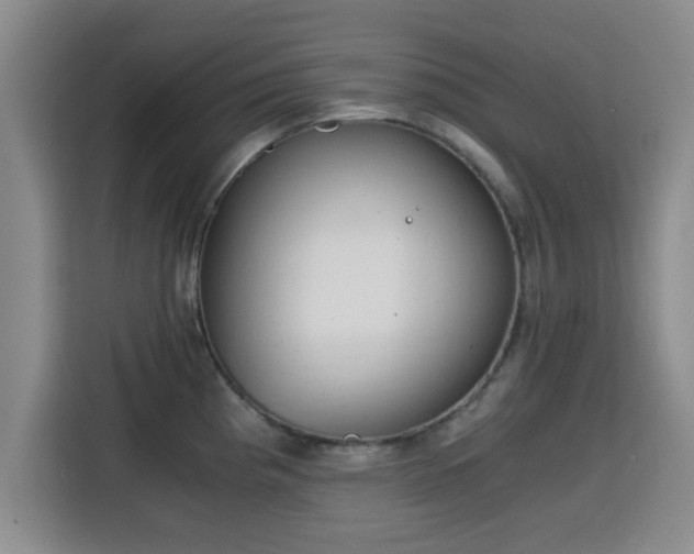 X0000115821193200911201439