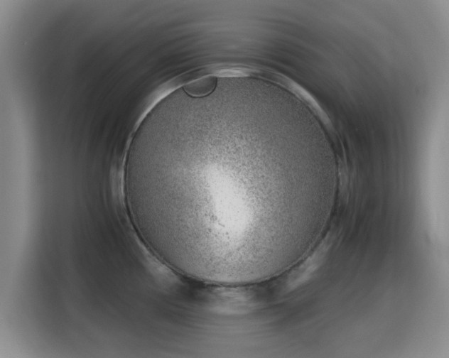 X0000115821194200911201439