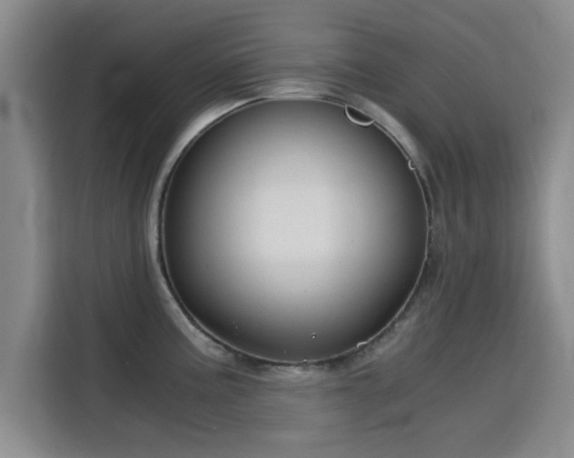 X0000115821195200911201439