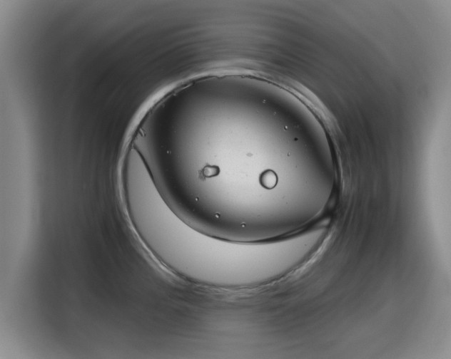 X0000115821196200911201439