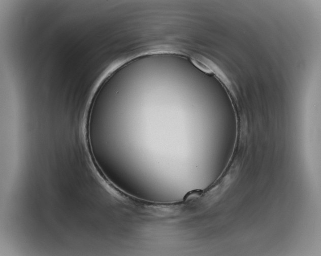 X0000115821197200911201439