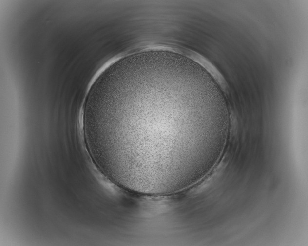 X0000115821198200911201439