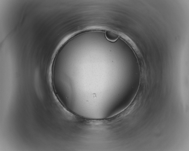 X0000115821199200911201439