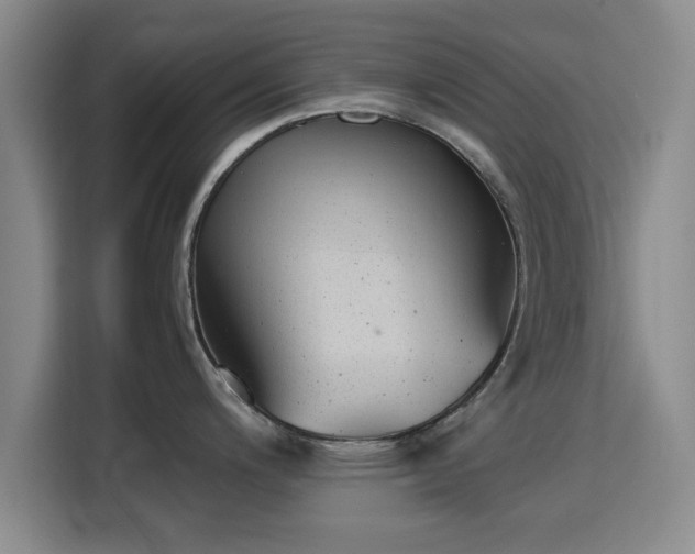 X0000115821200200911201439