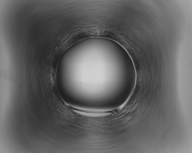 X0000115821202200911201438