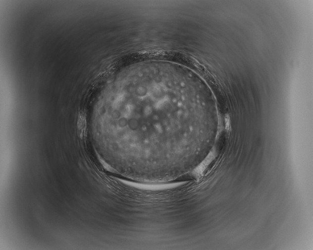 X0000115821203200911201438