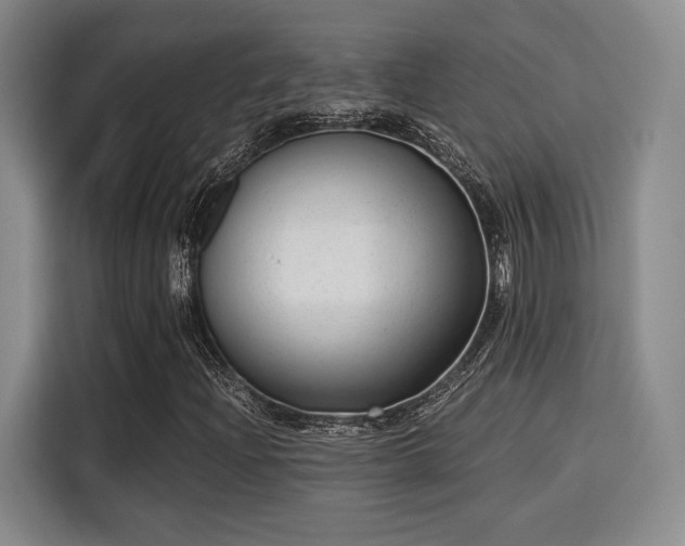 X0000115821204200911201438