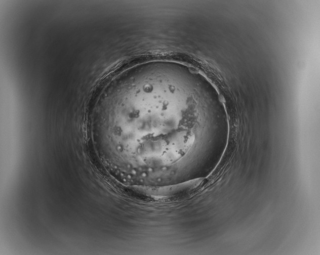 X0000115821205200911201438