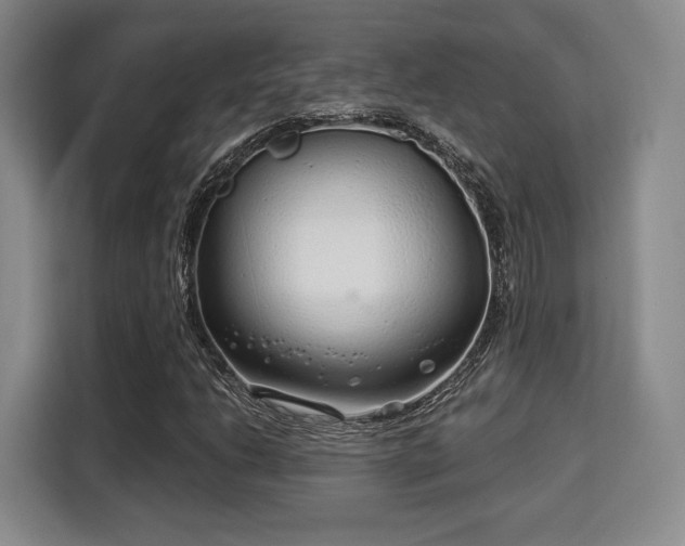 X0000115821206200911201438