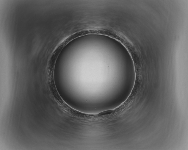 X0000115821208200911201438