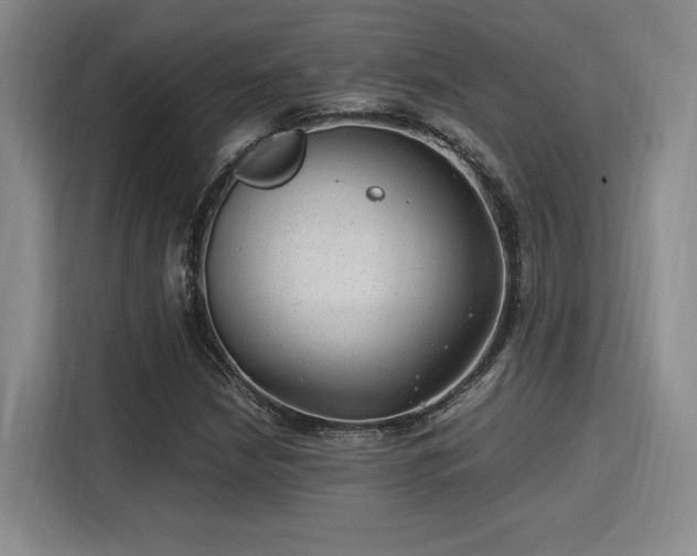 X0000115821210200911201438